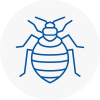 Bed Bug Extermination In Stockton Heath